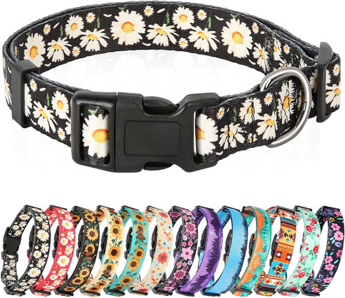 Small dog collar soft - dog,
