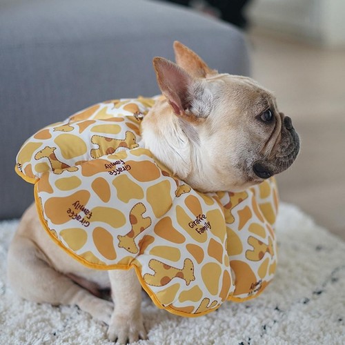 Soft pet recovery - soft,