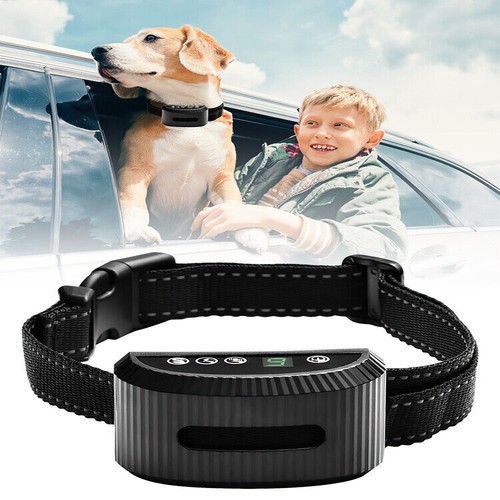 Electric pet dog training - electric,