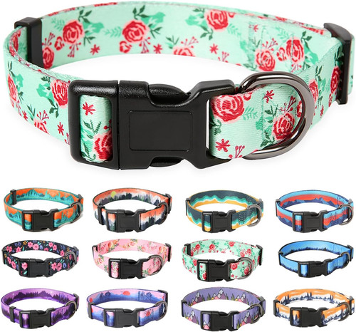 Dog collar large - dog,