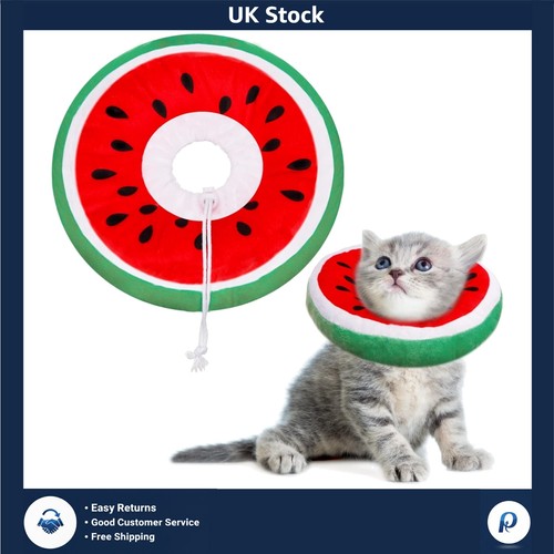 Comfy watermelon cat cone - comfy,