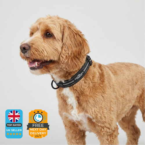 Dog collar adjustable soft - adjustable,