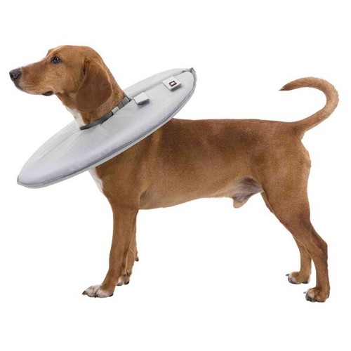 Trixie protective dog - protective, collar