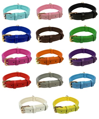 Vibrant genuine leather dog - vibrant,