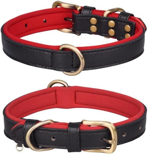 Leather dog collar premium - leather, collar,