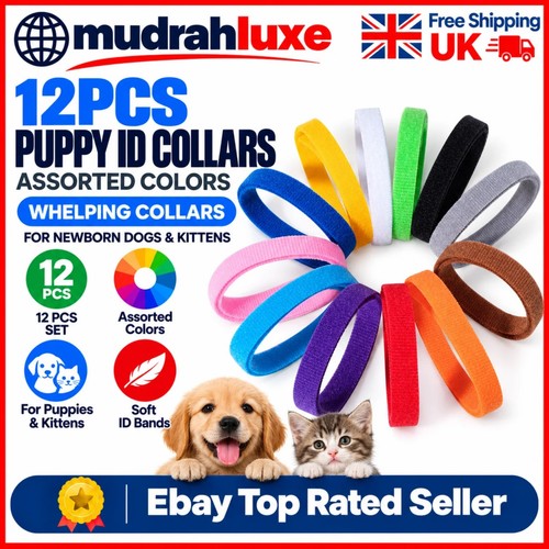 12pcs puppy collars - 12pcs,