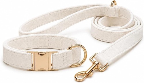 Dog collar and leash velvet - dog,