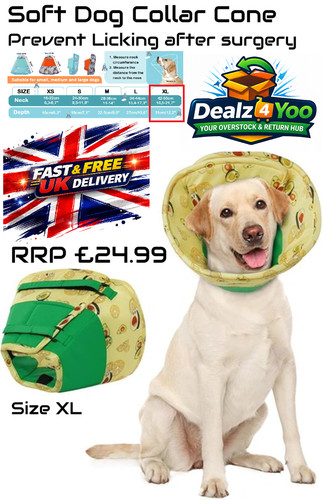 Dog recovery cone - recovery, after