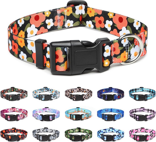 Adjustable dog collar - collar, with