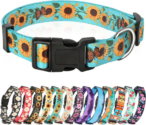 Dog collar medium multi colour - collar, multi-colour