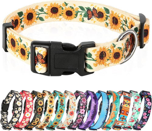 Dog collar large multi colour - dog,