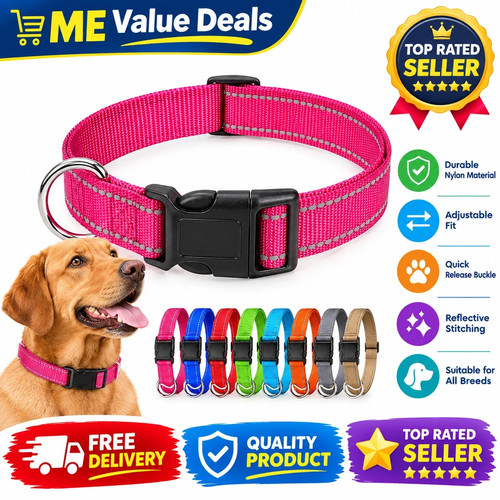 Dog collar puppy - collar,