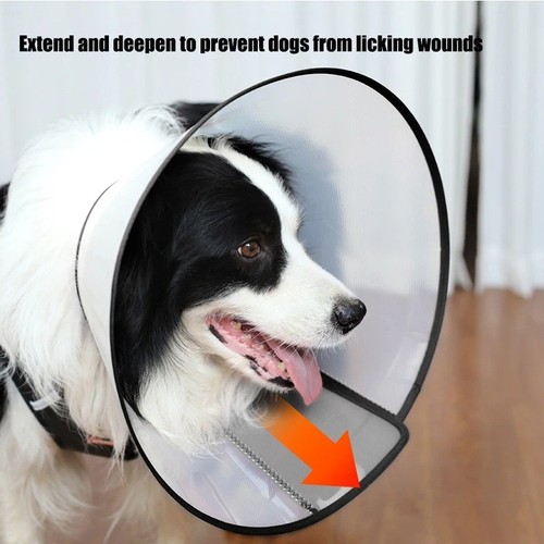 1pc pet elizabethan collar for - pet,