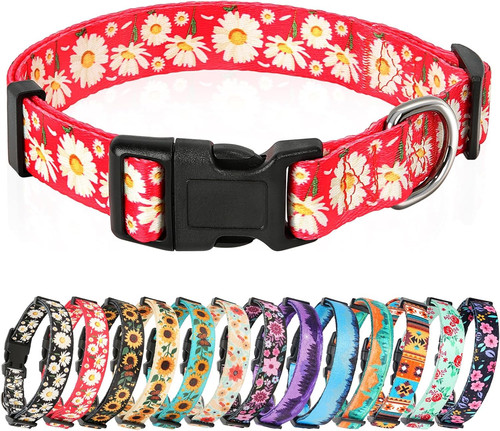 Dog collar medium - dog, multi-colour