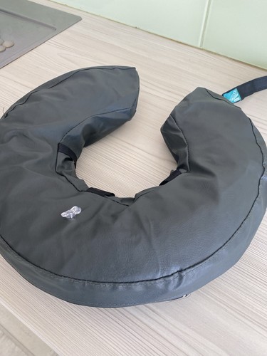 Dog medical collar - dog, post