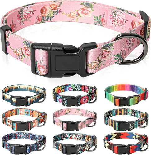 Dog collar medium multi colour - dog,