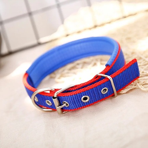 Solid dog collars nylon - dog,