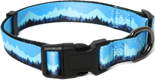 Dog collar medium - collar,