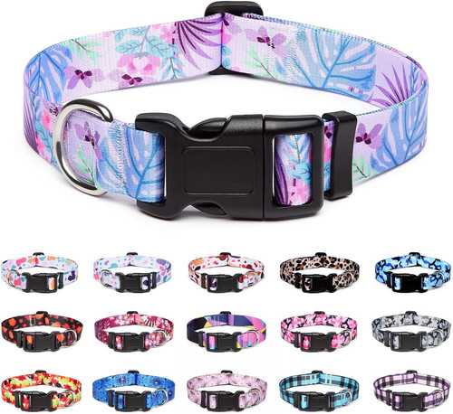 Adjustable nylon dog - nylon, collar