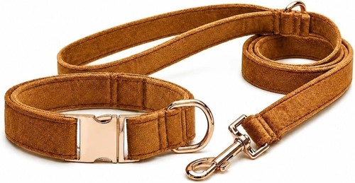 Dog collar and - leash,, velvet