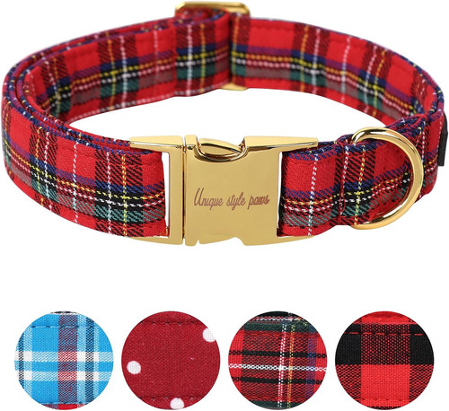 Dog collar pet gift - dog,