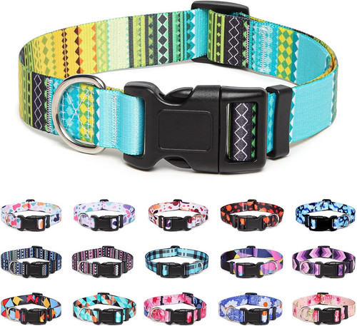 Adjustable nylon dog - nylon,