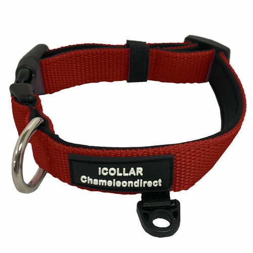 Dog collar red layer - 2,