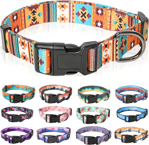 Dog collar puppy - dog,