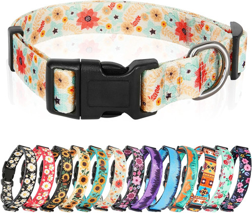Dog collar medium multi colour - dog,