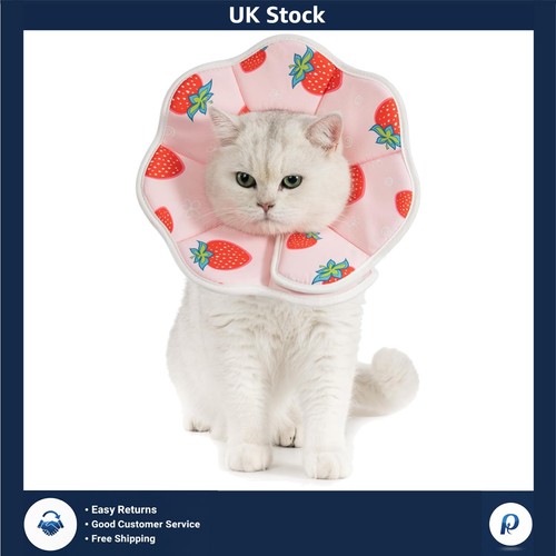 Comfy recovery cone collar for - comfy,