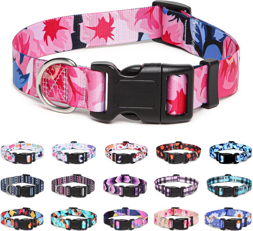 Adjustable nylon dog collar - nylon,