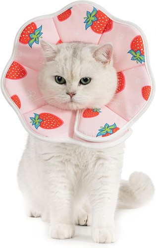 Comfy recovery cone collar - recovery,