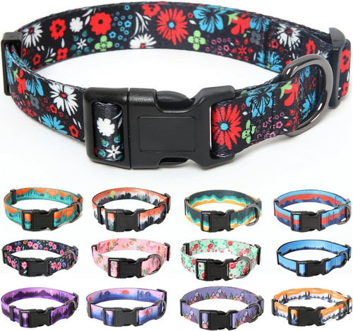 Dog collar small - collar,