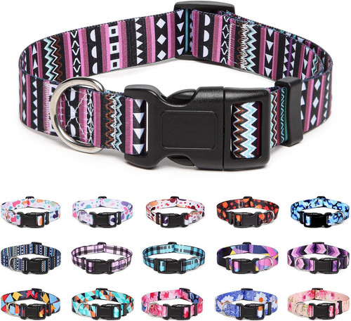 Adjustable nylon dog - nylon,