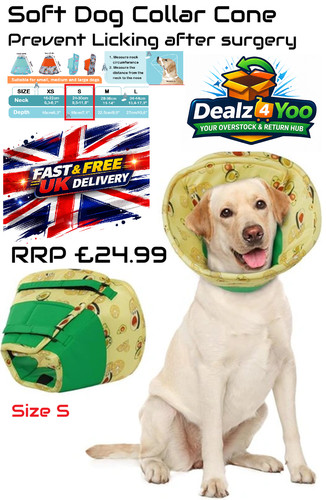 Dog recovery cone for after - dog,