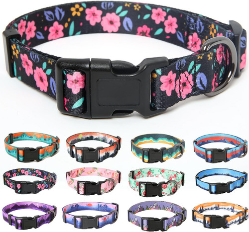 Dog collar large multi - large, multi-colour