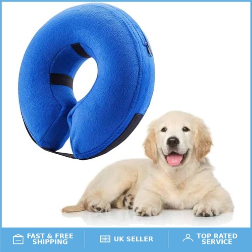 Comfy inflatable pet - comfy,