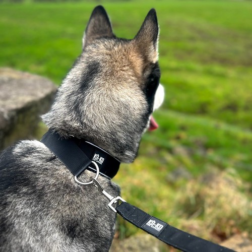 4cm slip collar - |, with