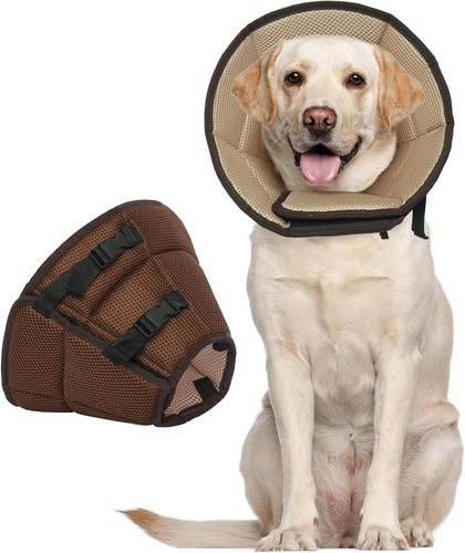 Dog elizabethan cone collar - dog,