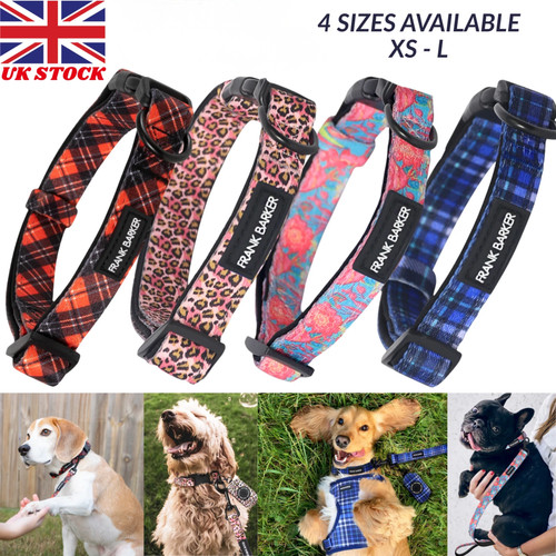 Adjustable dog puppy collar - puppy,