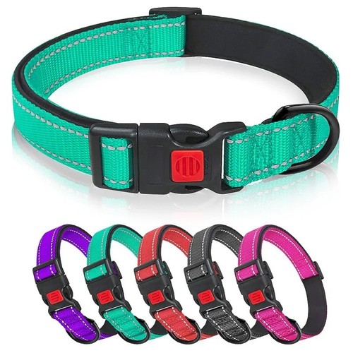 Dog collar reflective - dog,